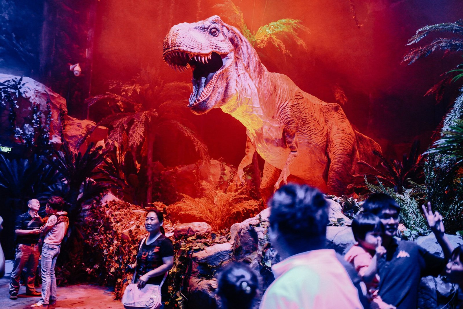 Enjoy interactive dinosaur encounters at the Jurassic World Velocicoaster.