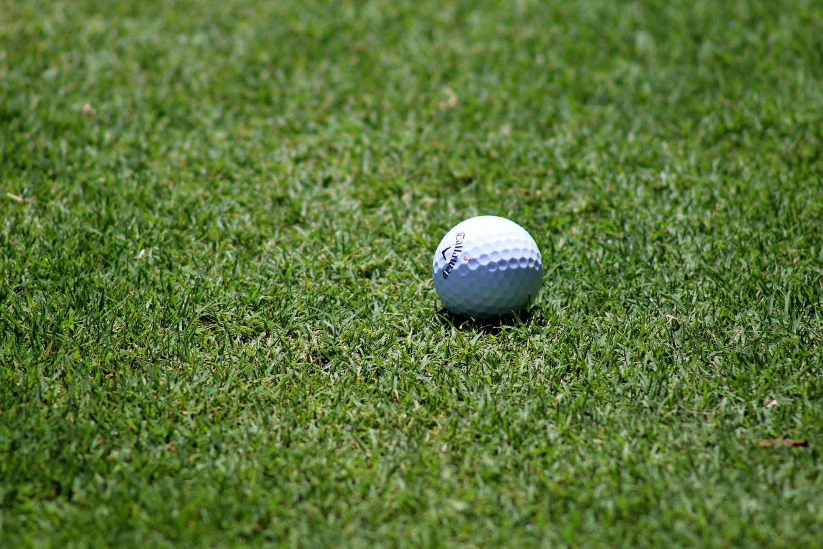 Play a round of golf at the Casa Grande Golf Course.