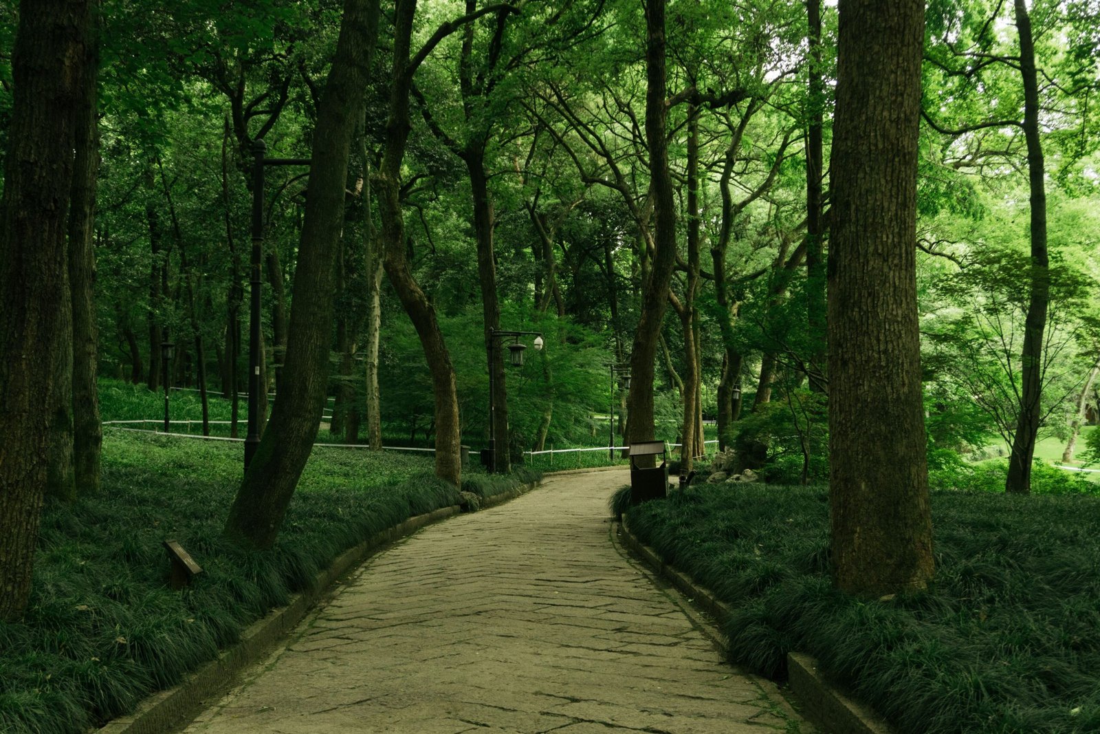 Stroll through Lithia Park and enjoy the serene landscapes