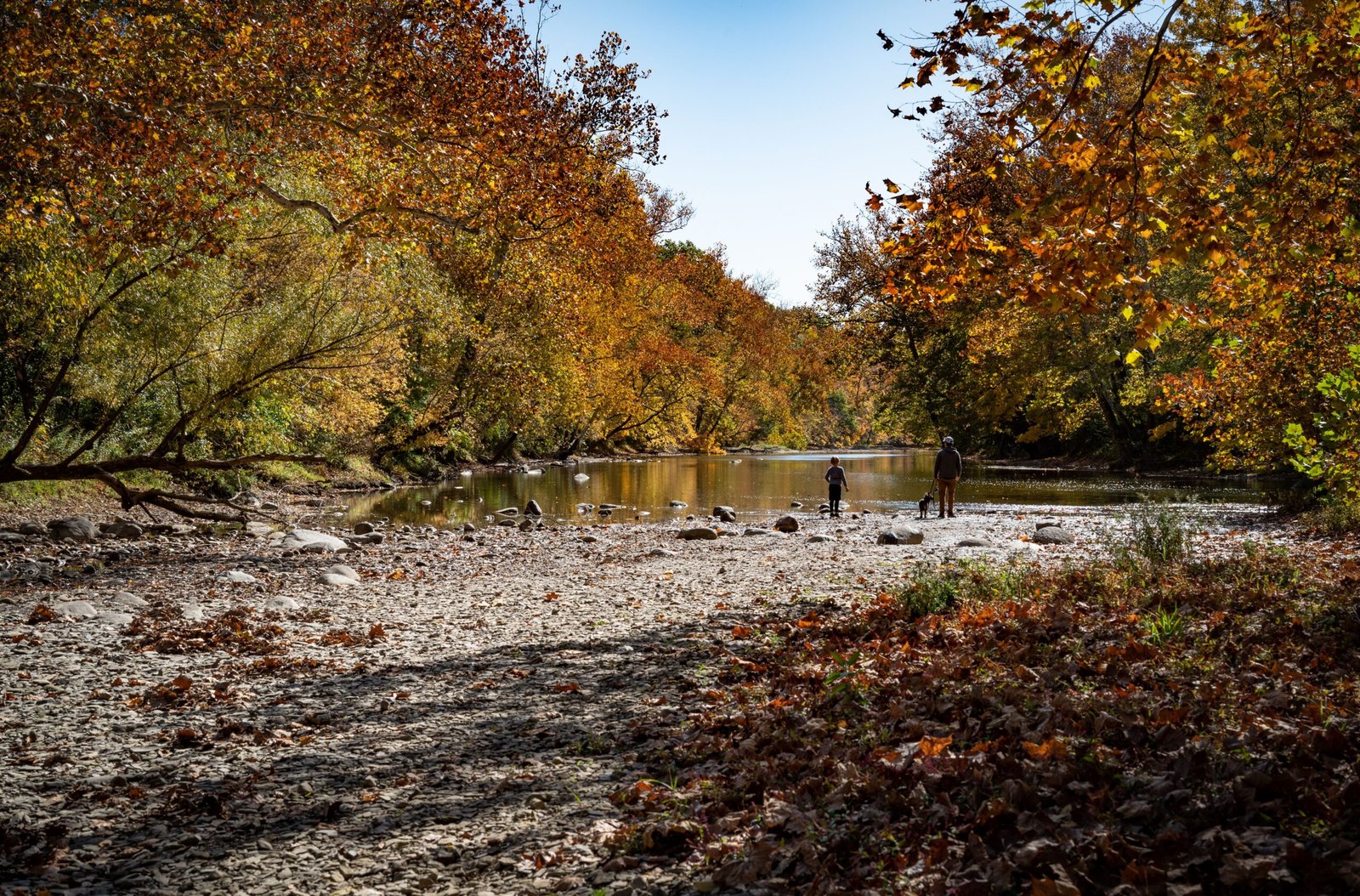 Explore the natural beauty at the Murphy River Walk.
