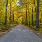 things to do in concord nh