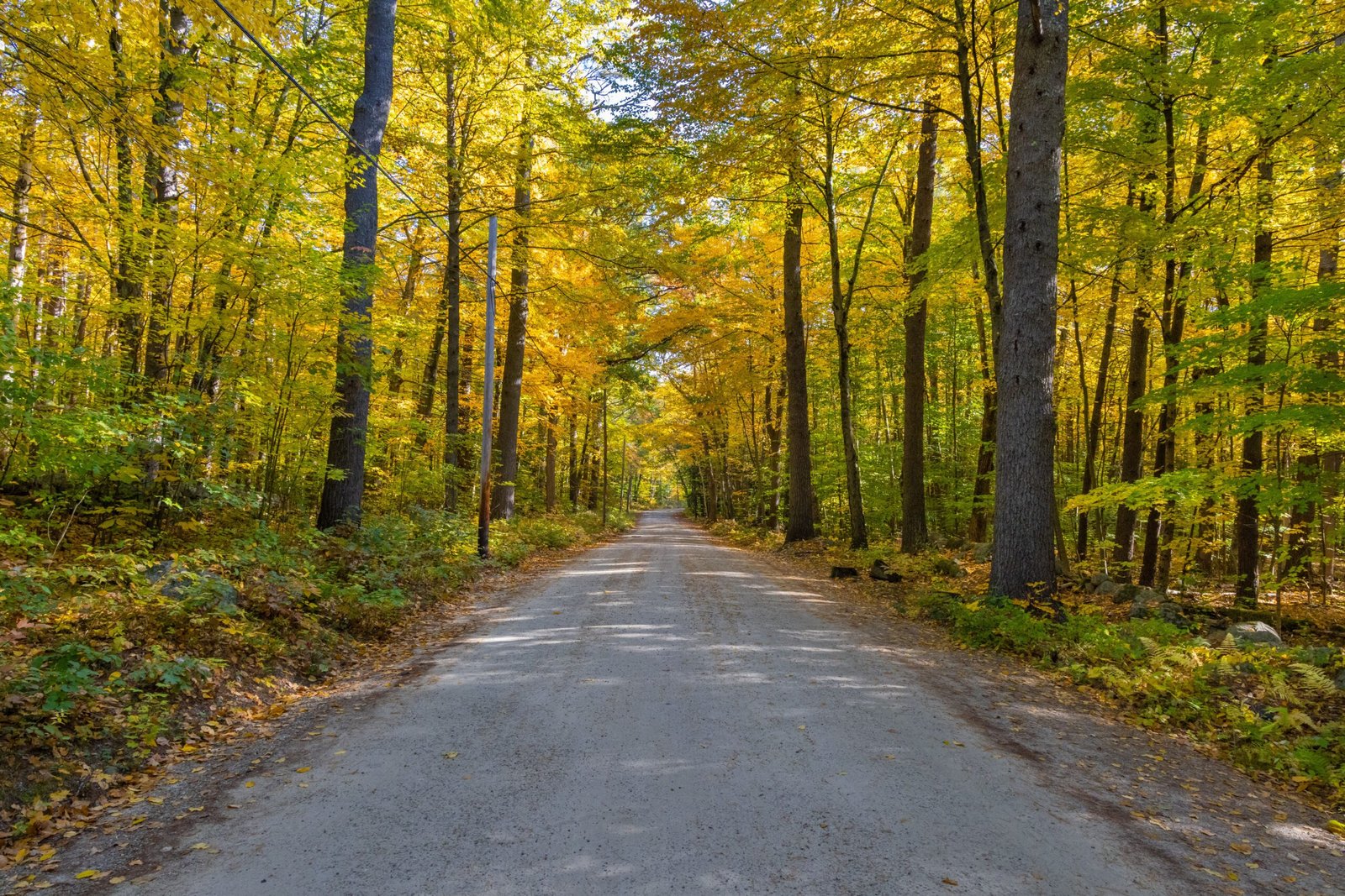 things to do in concord nh
