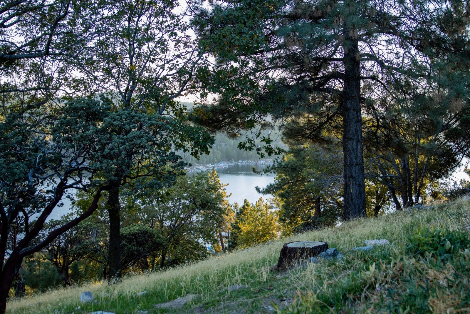Enjoy a picnic at Lake Arrowhead