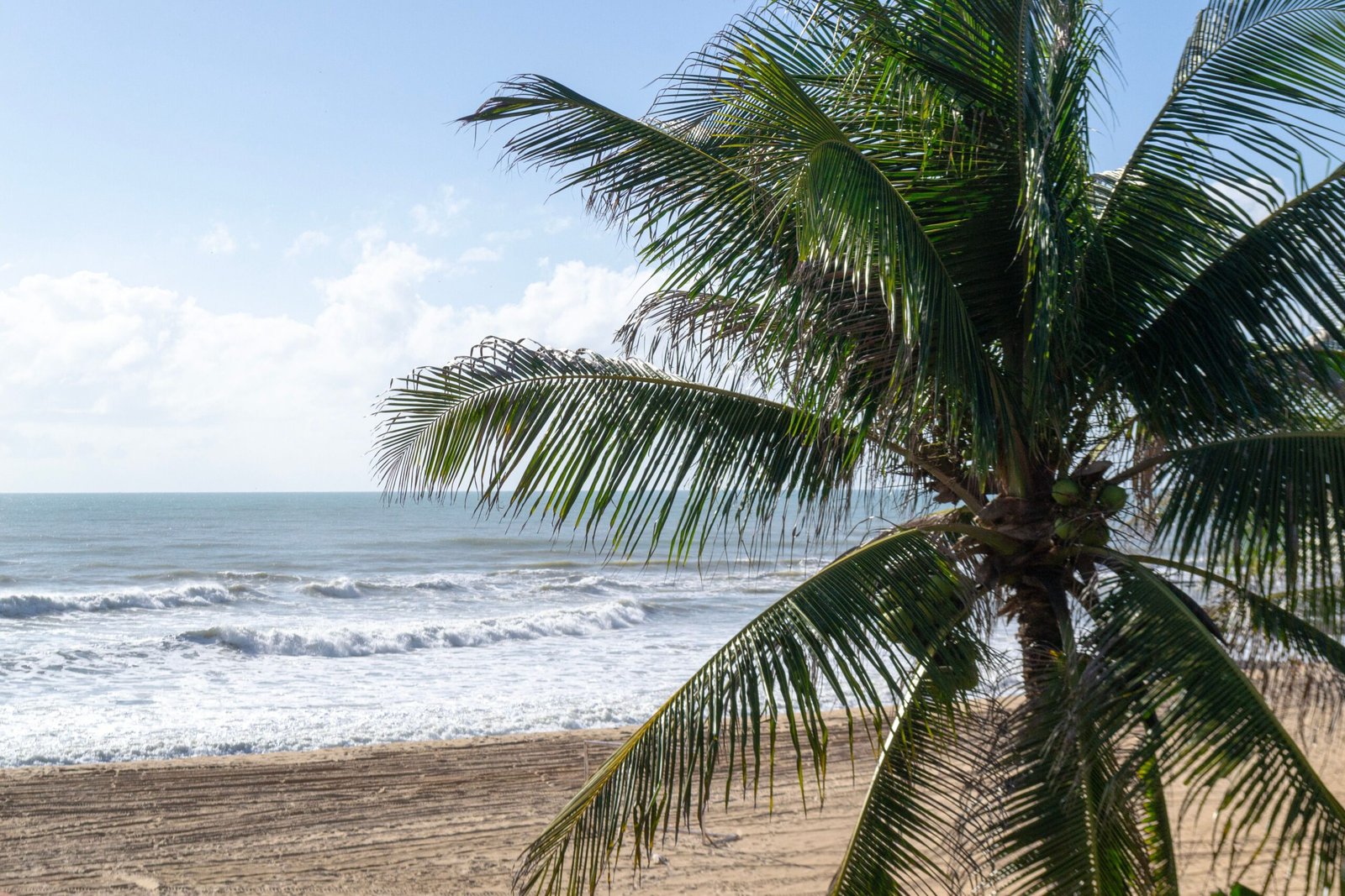 Enjoy the sandy shores and playgrounds at Isla Verde Beach.