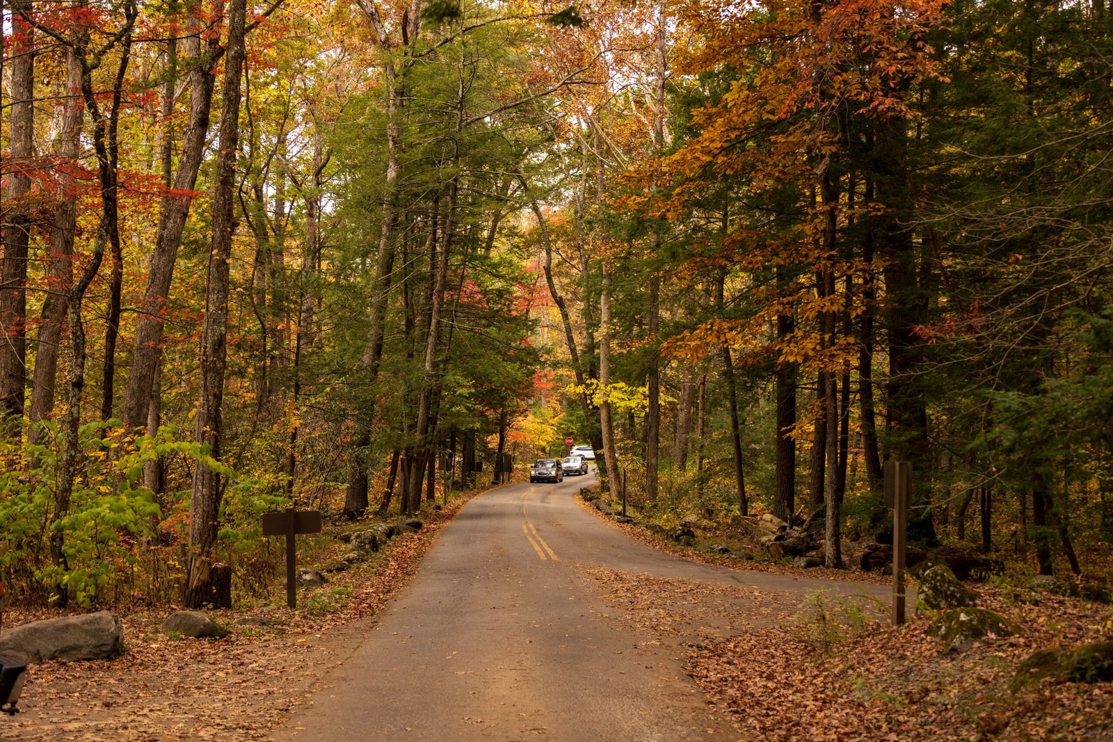 Take a scenic drive along the Nantahala National Forest.