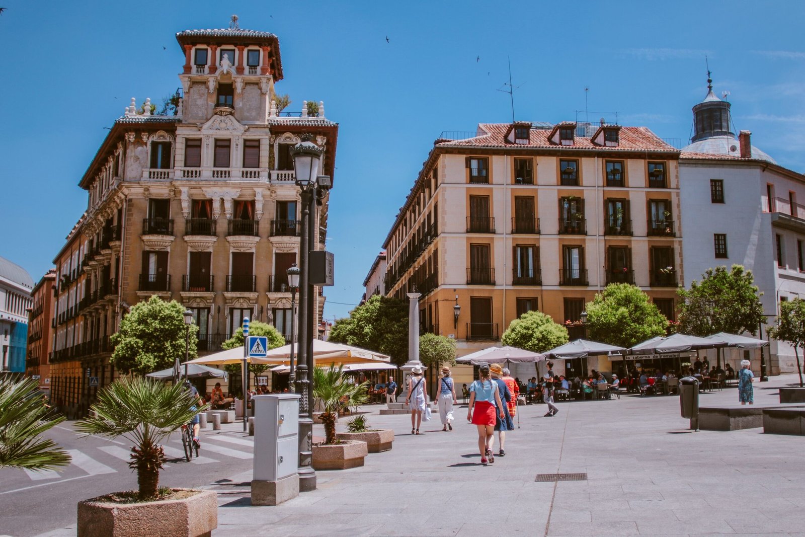Explore the historic Ponce Plaza and its vibrant atmosphere.