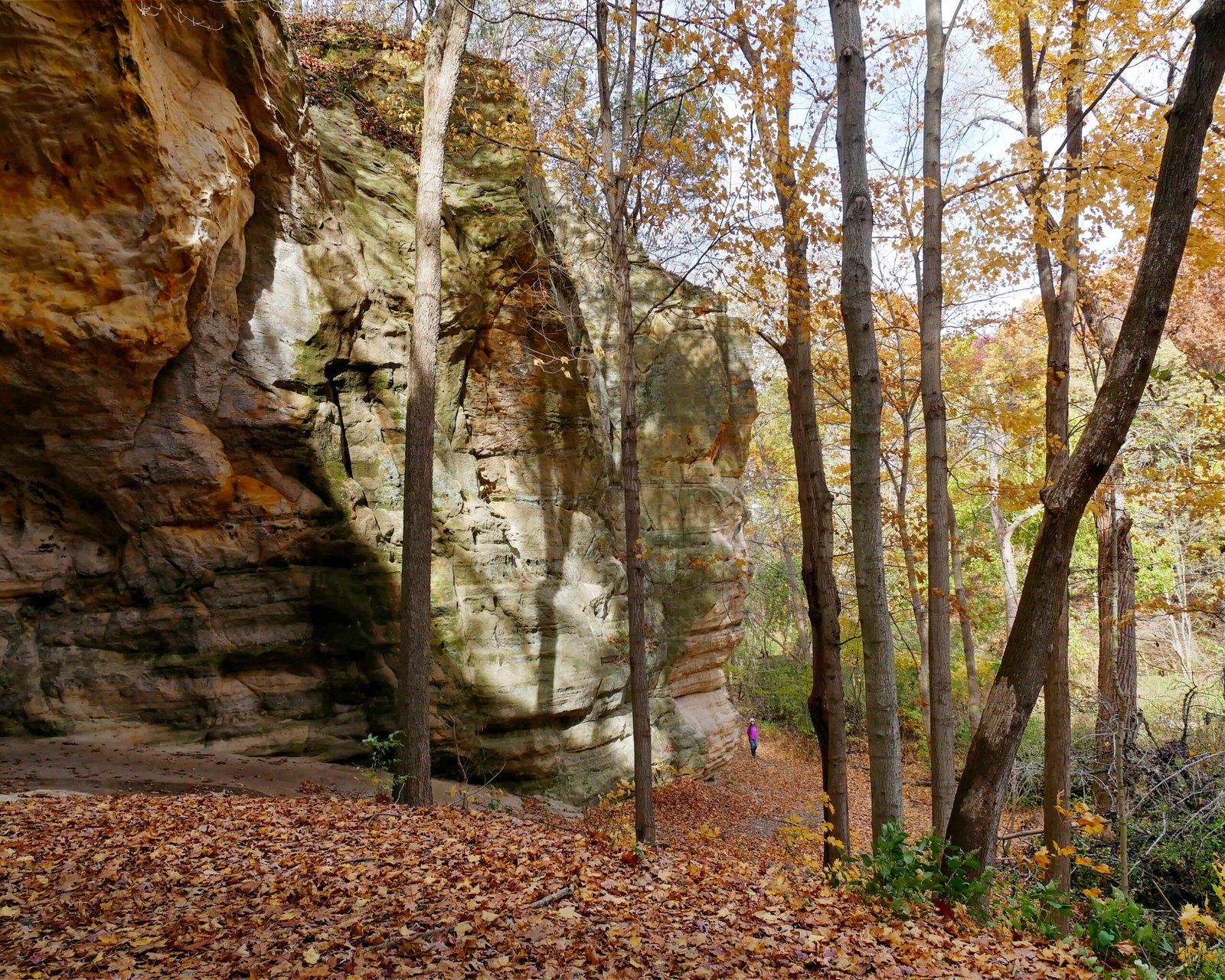 Take a stroll through the enchanting Conkles Hollow Nature Preserve