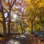 things to do in pittsfield ma