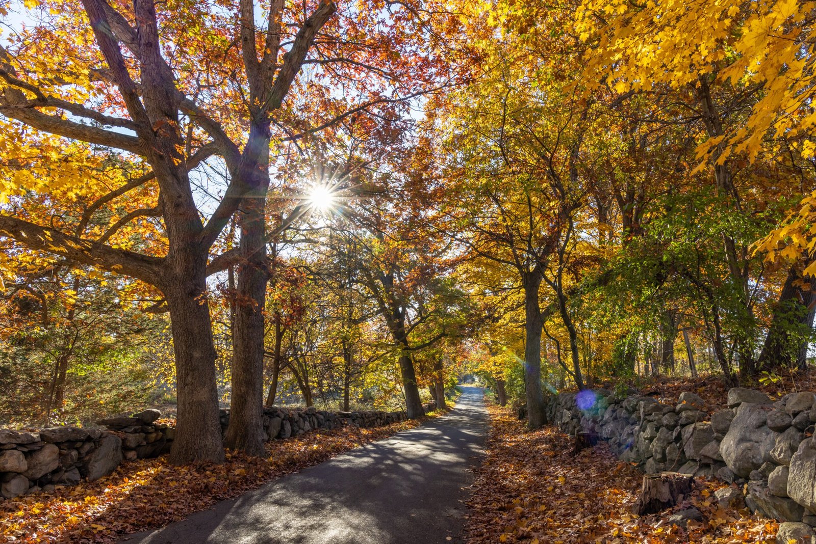 things to do in pittsfield ma