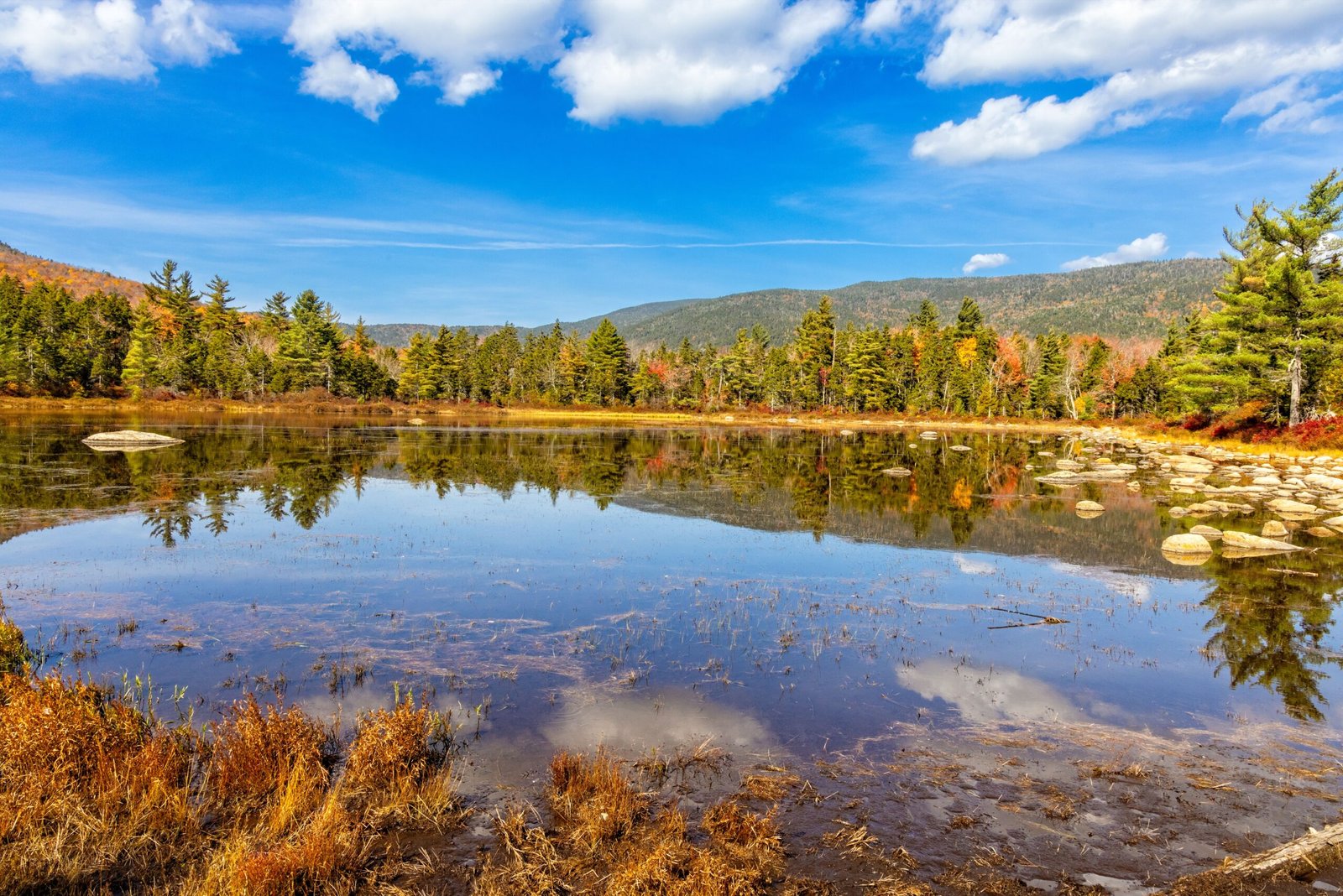 Here are 25 of the best things to do in New England: