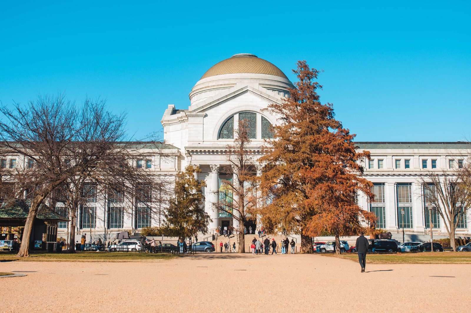 Discover the history of the city at the Washington State History Museum.