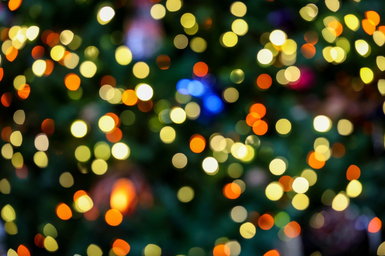 See the dazzling lights of Dyker Heights Christmas lights display.