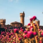 things to do in bangalore