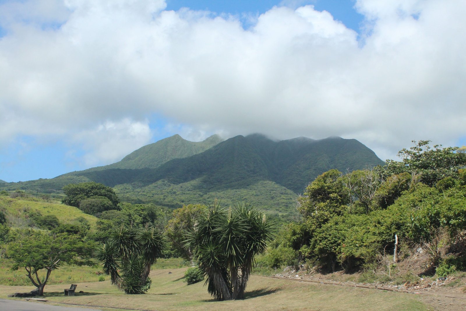 Hike the lush trails of the Basseterre Valley National Park.