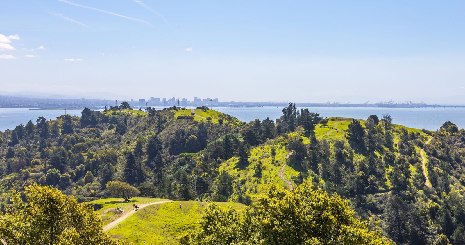 Explore Point Defiance Park for its scenic views and hiking trails.