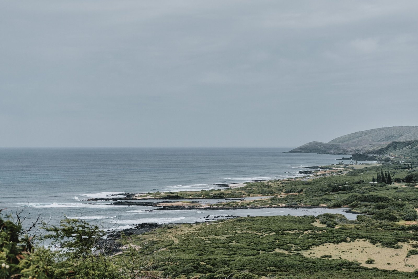 Explore the lush landscapes of the Kanaha Beach Park