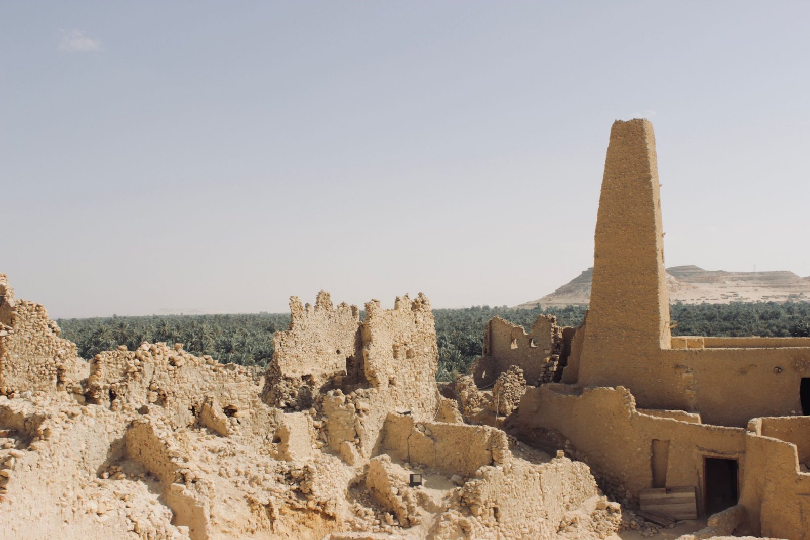 Explore the vast grounds of the Casa Grande Ruins National Monument.