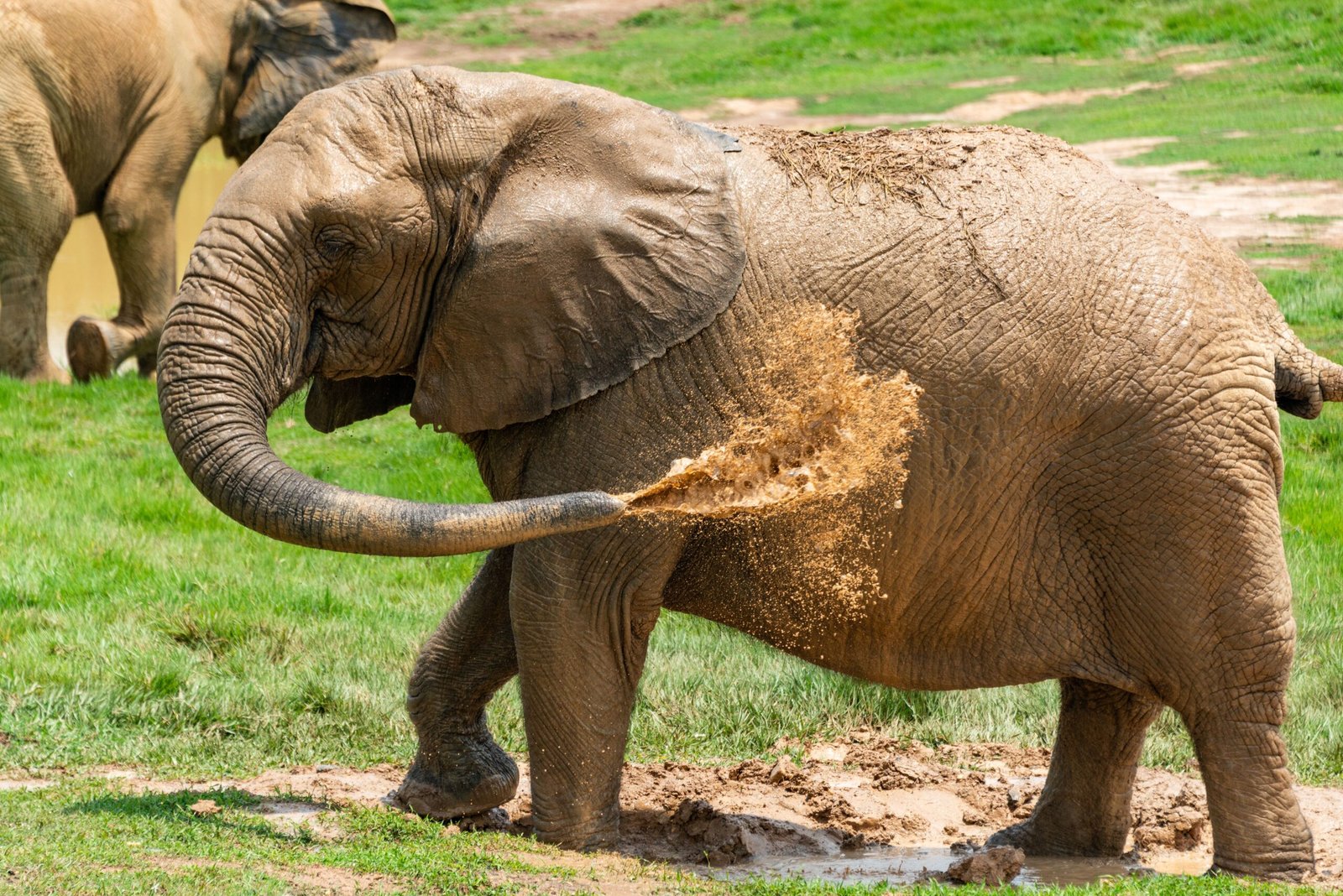 Spend a day at the Charlotte Zoo for a wildlife adventure.