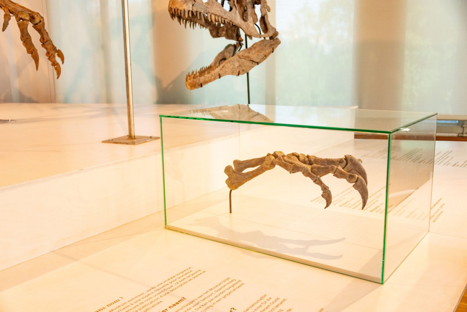 Discover ancient artifacts at the Nagoya City Science Museum.