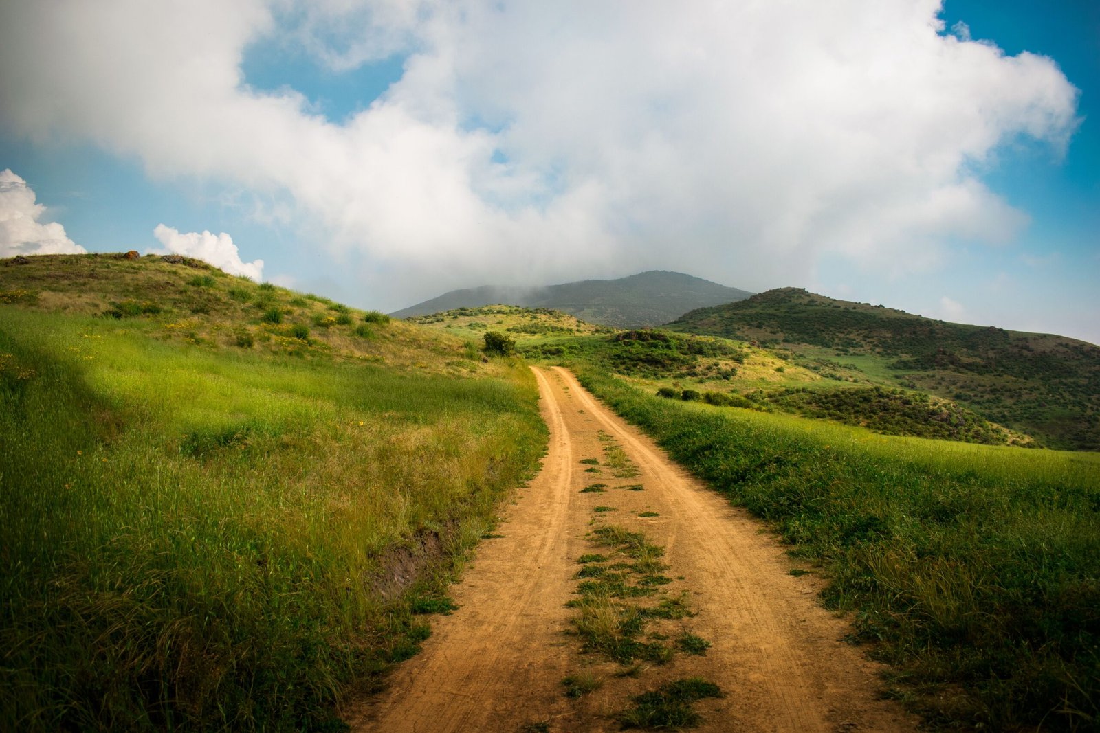 Explore the beautiful trails at the Cucamonga-Guasti Regional Park.