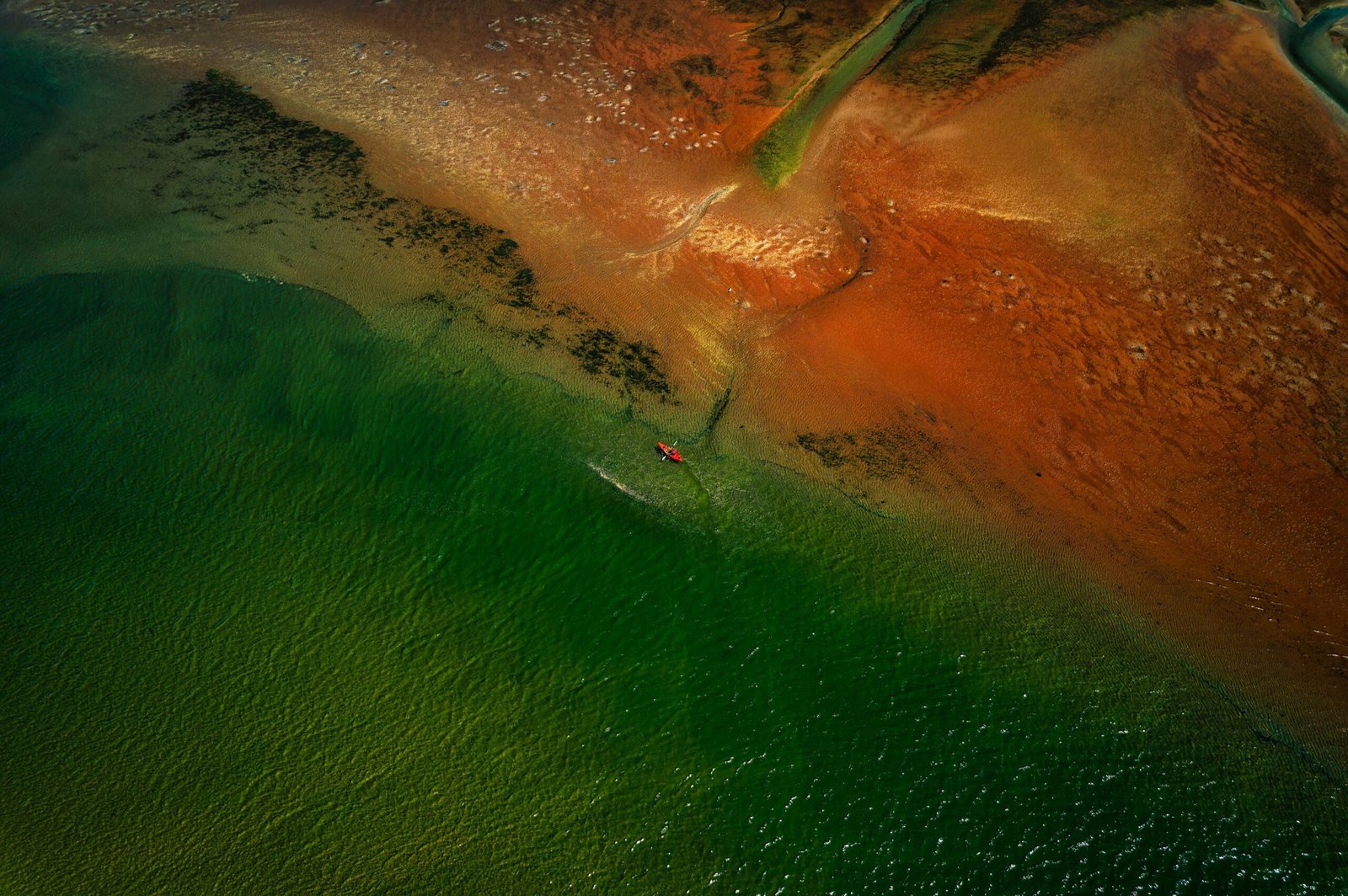Take a guided kayak tour of the Coos Estuary.