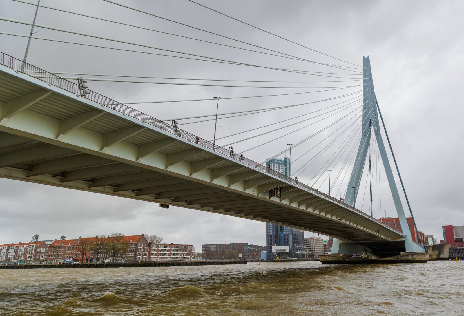 Walk across the famous Erasmus Bridge for scenic views