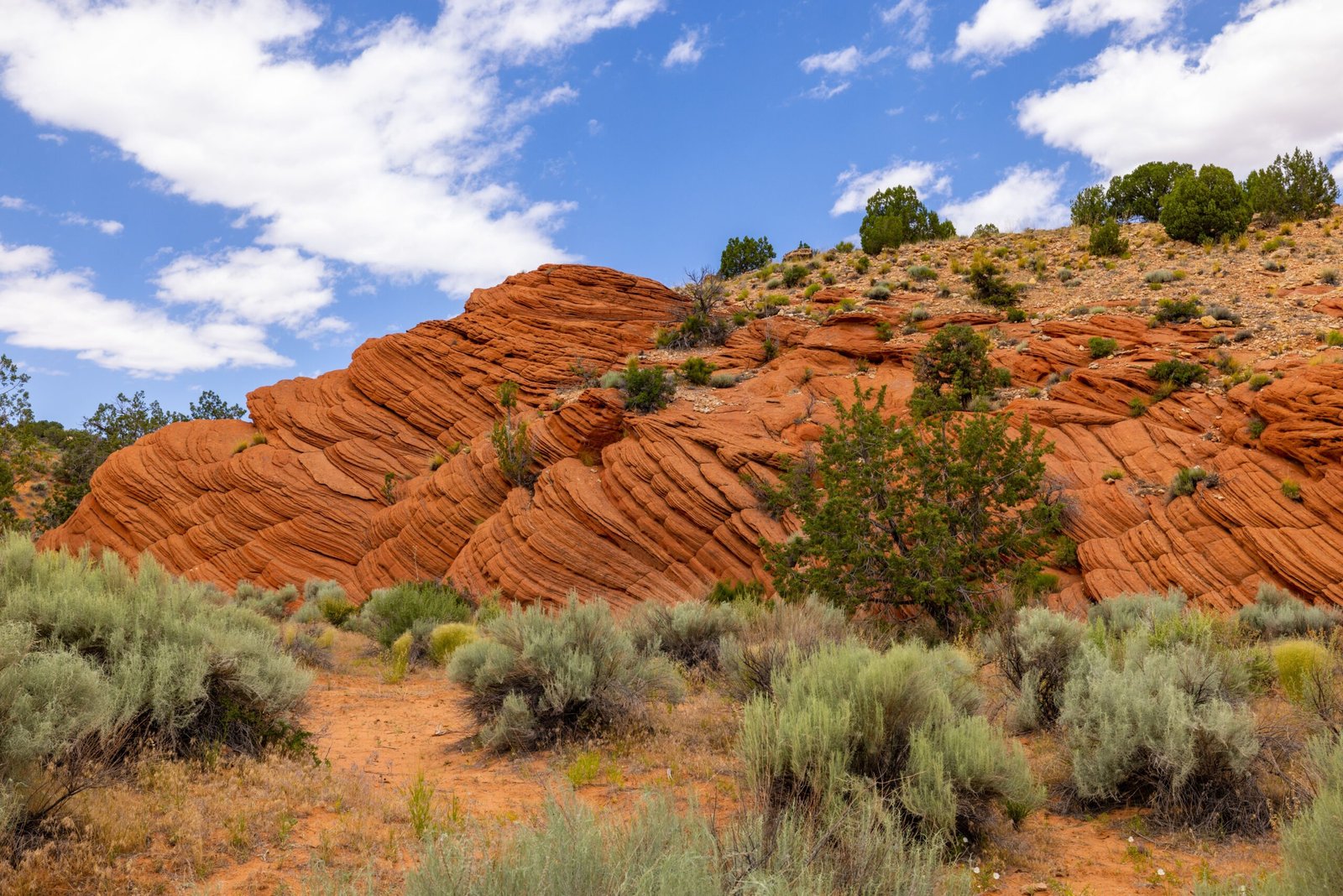 things to do in kanab utah