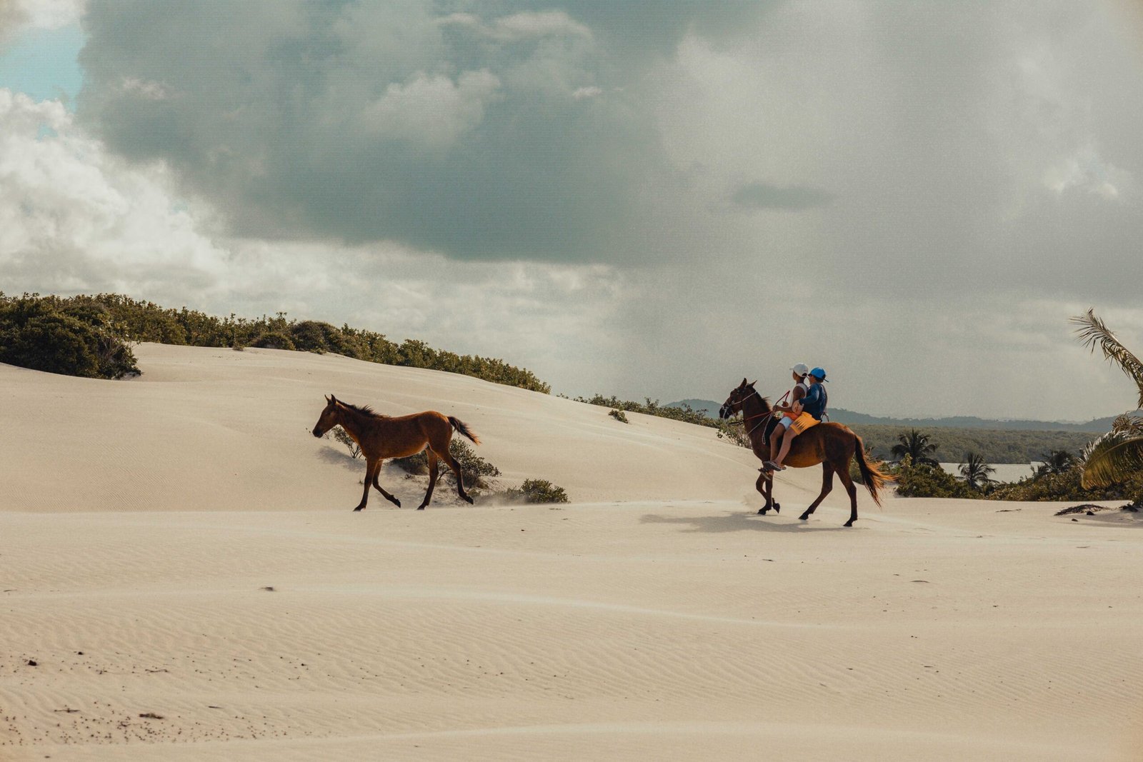 Go on a horseback riding tour through the surrounding jungles