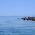things to do in la paz mexico