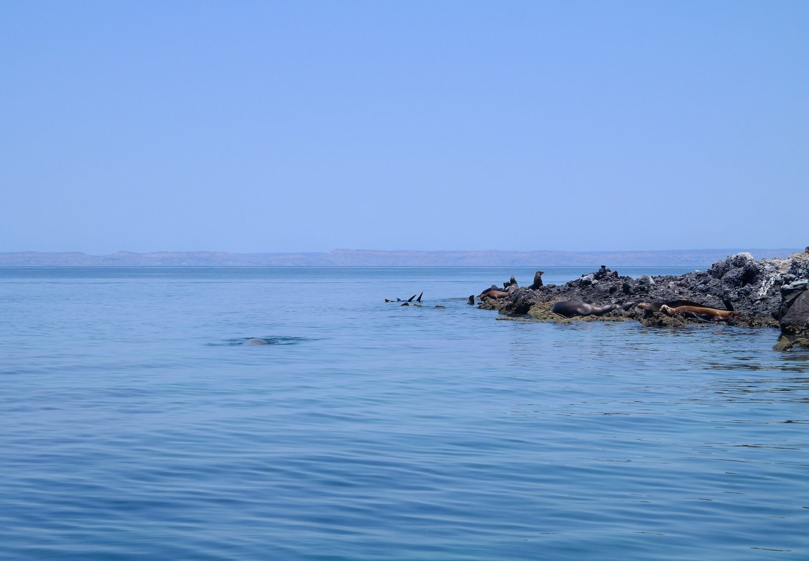 things to do in la paz mexico
