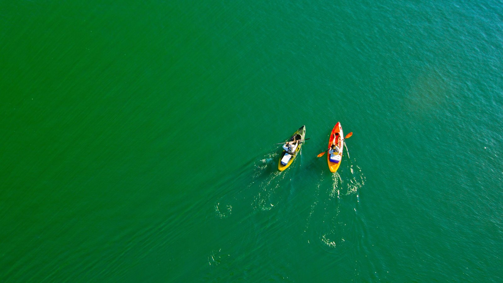Explore the scenic Russian River on a canoe or kayak