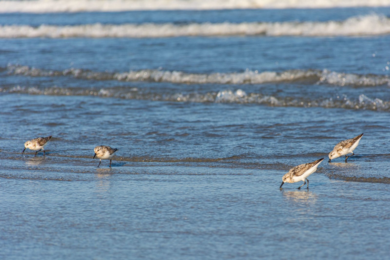 Relax on the beautiful Wildwood Beaches