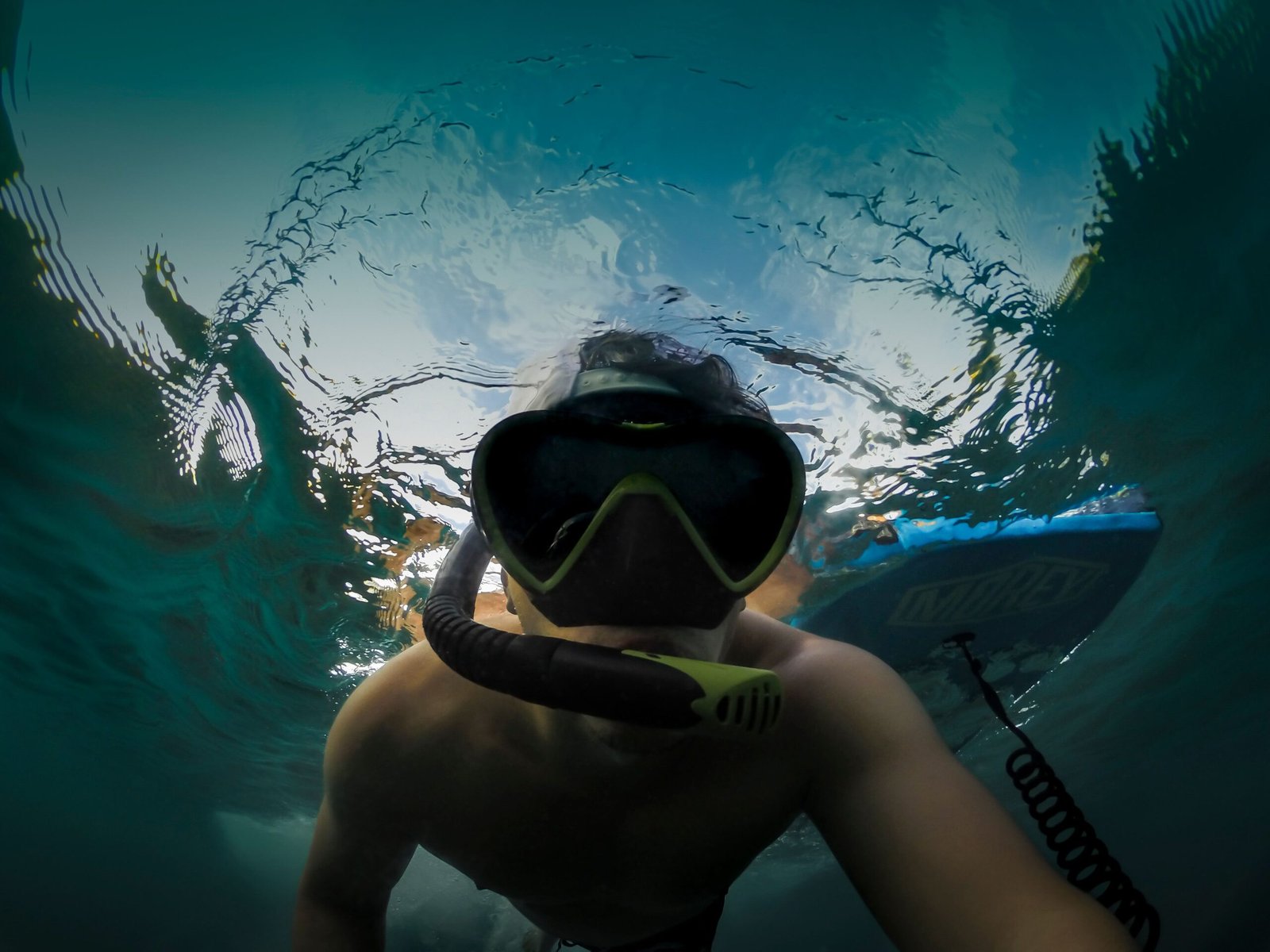 Go snorkeling or diving at the nearby reefs with Paddles, Pensacola Beach.