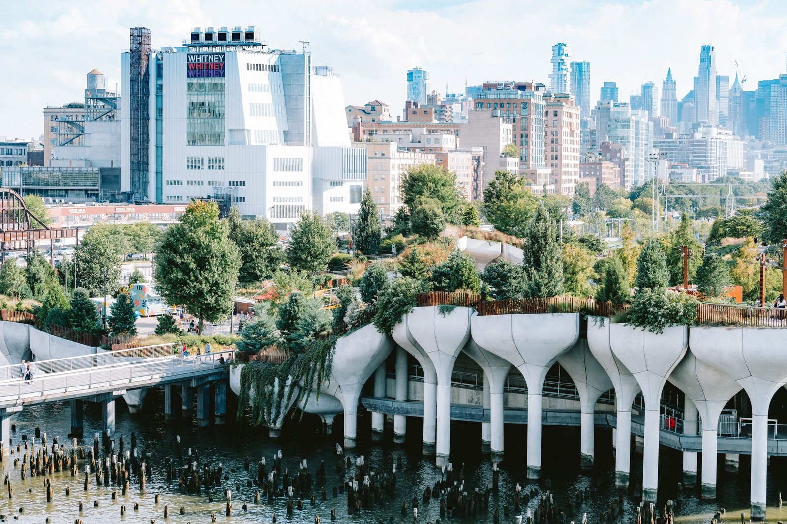 Stroll through the High Line, an elevated park with beautiful views and art installations.