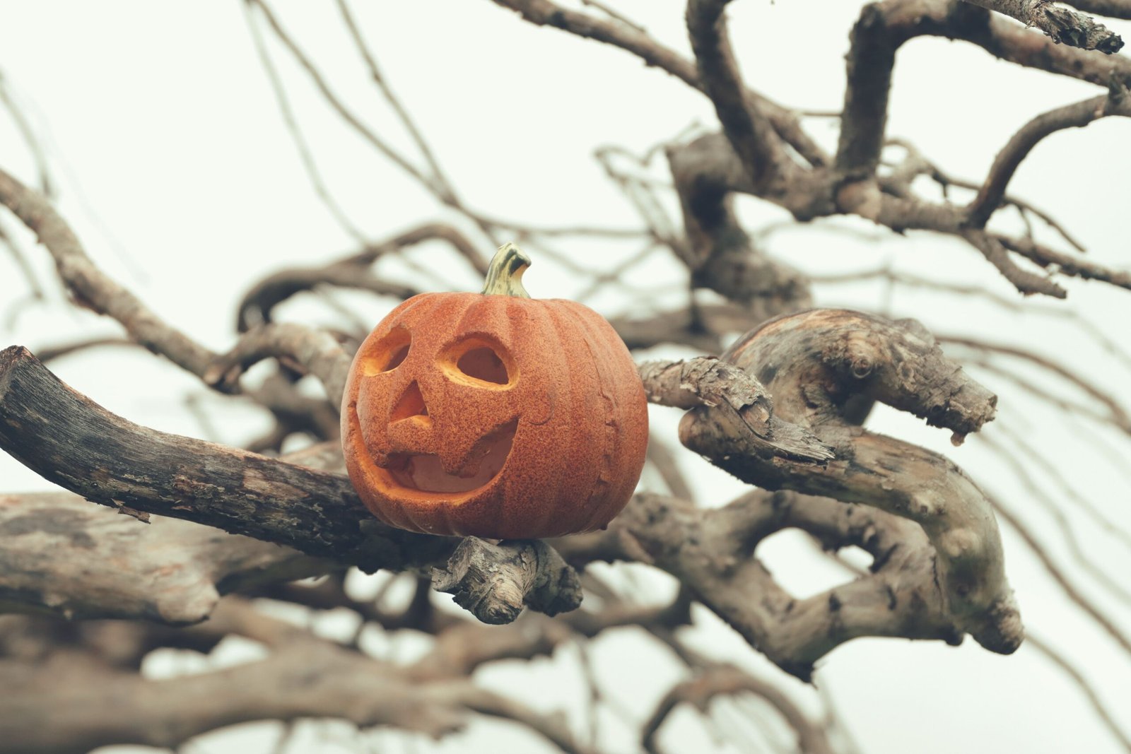Attend the annual Sleepy Hollow Halloween Festival for spooky festivities.