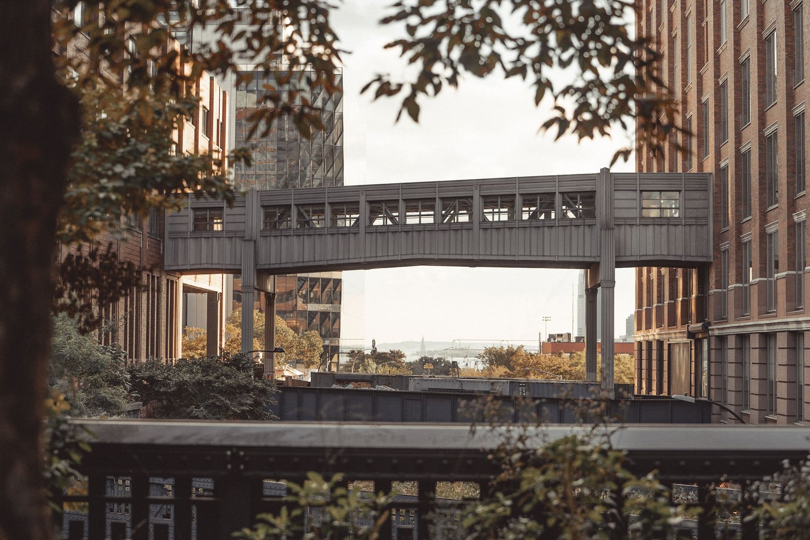 things to do in chelsea nyc
