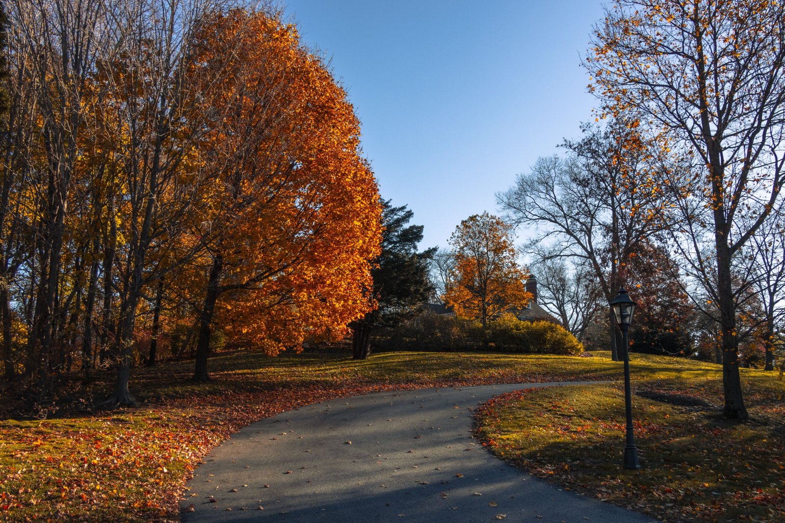 Stroll through the beautiful gardens at the Frelinghuysen Arboretum.