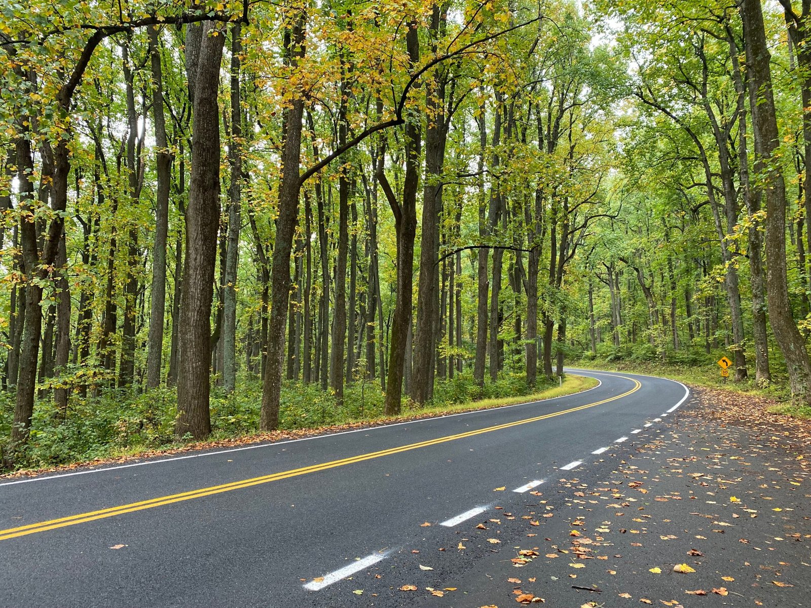 Take a scenic drive along Skyline Drive in Shenandoah National Park