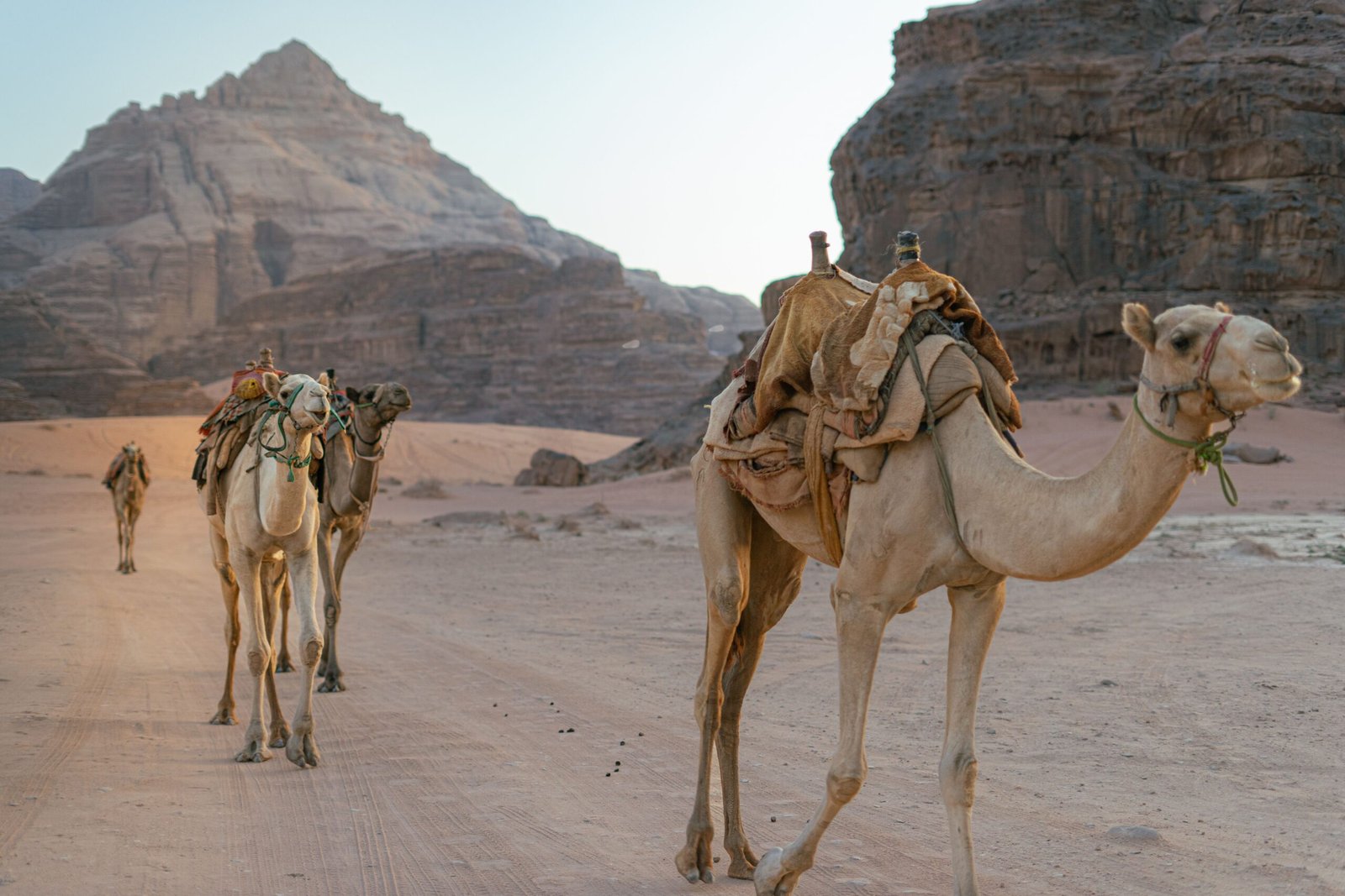 Here are the 25 best things to do in Jordan, showcasing its diverse attractions and experiences: