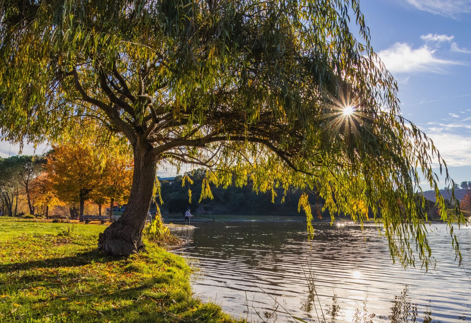 Enjoy fishing at the beautiful Green Valley Park Lake