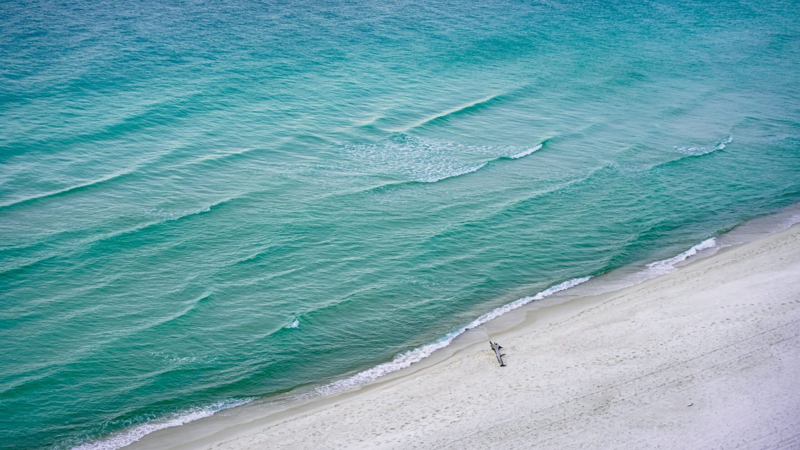 Relax on the pristine Navarre Beach sand.