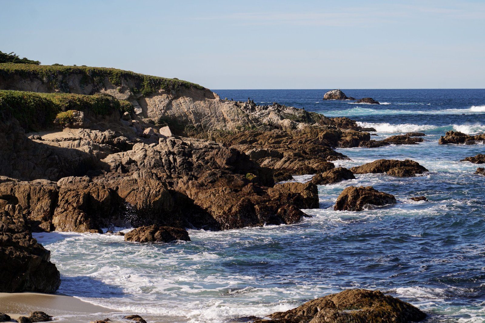 Explore the scenic views at Shore Acres State Park.