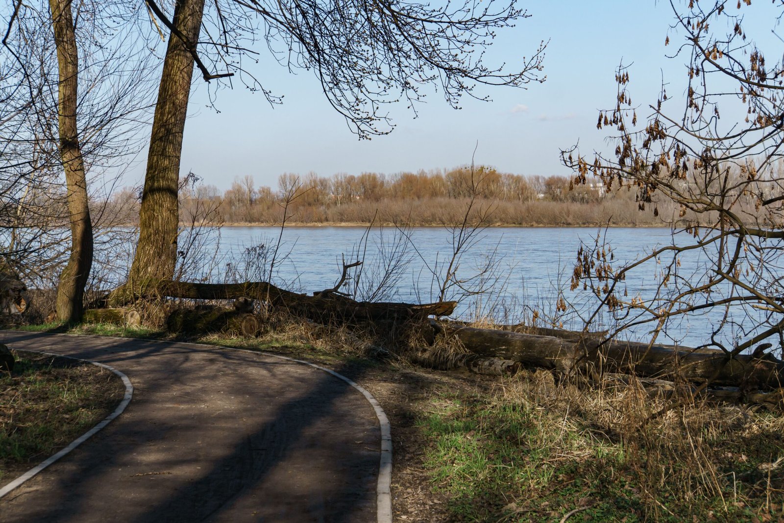 Walk or bike the American River Bike Trail for stunning river views.