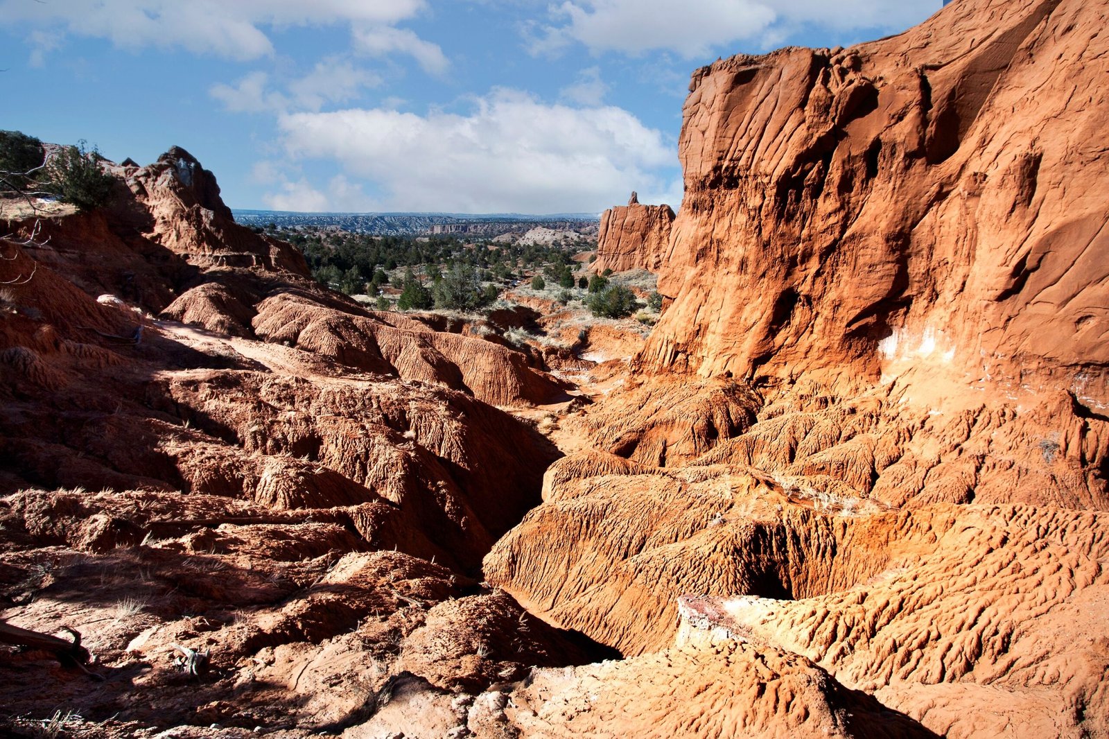 Stroll through the beautiful Red Rock Canyon Open Space.