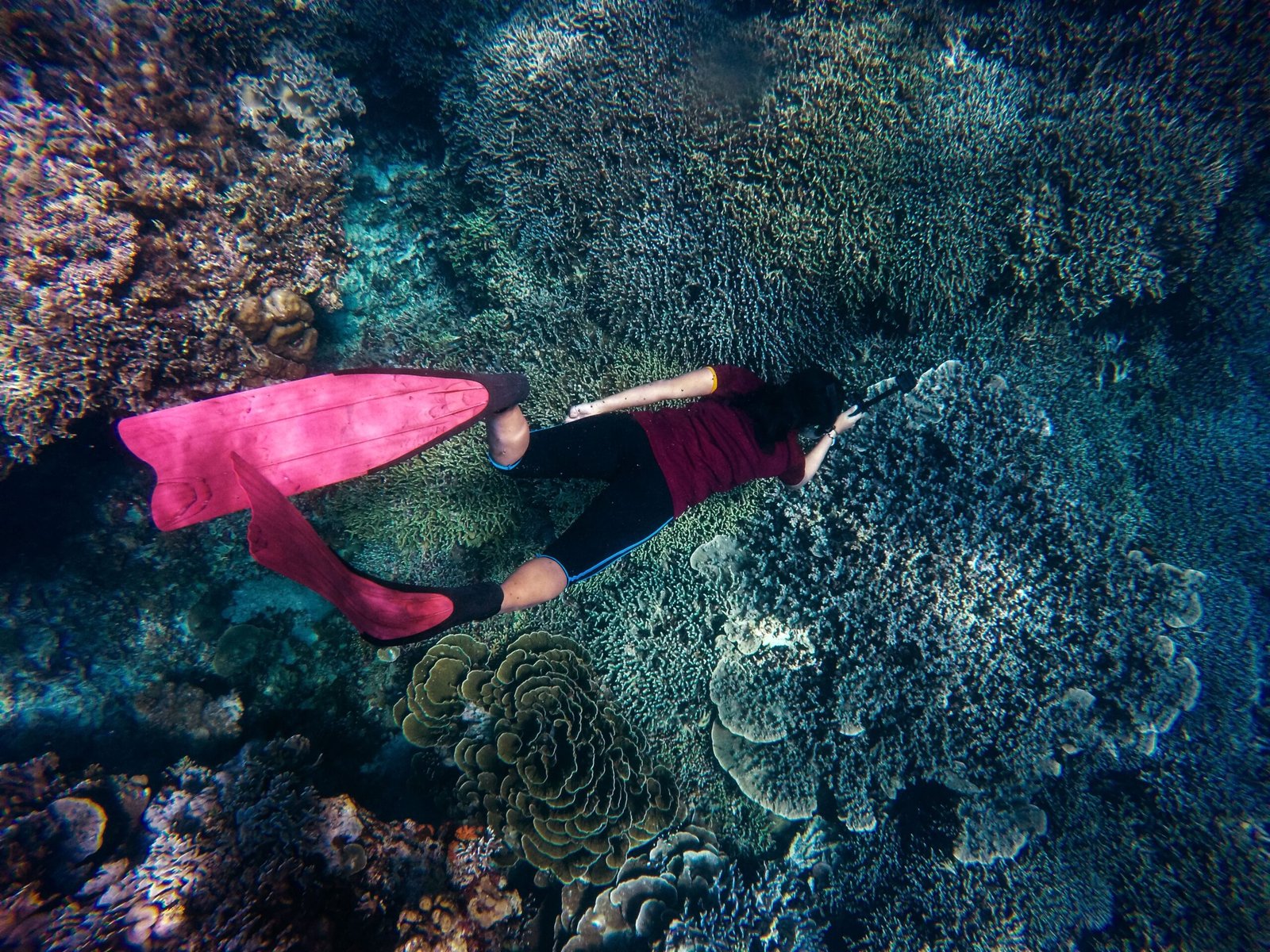 Snorkel and dive at the Loreto Marine Park to explore vibrant coral reefs.