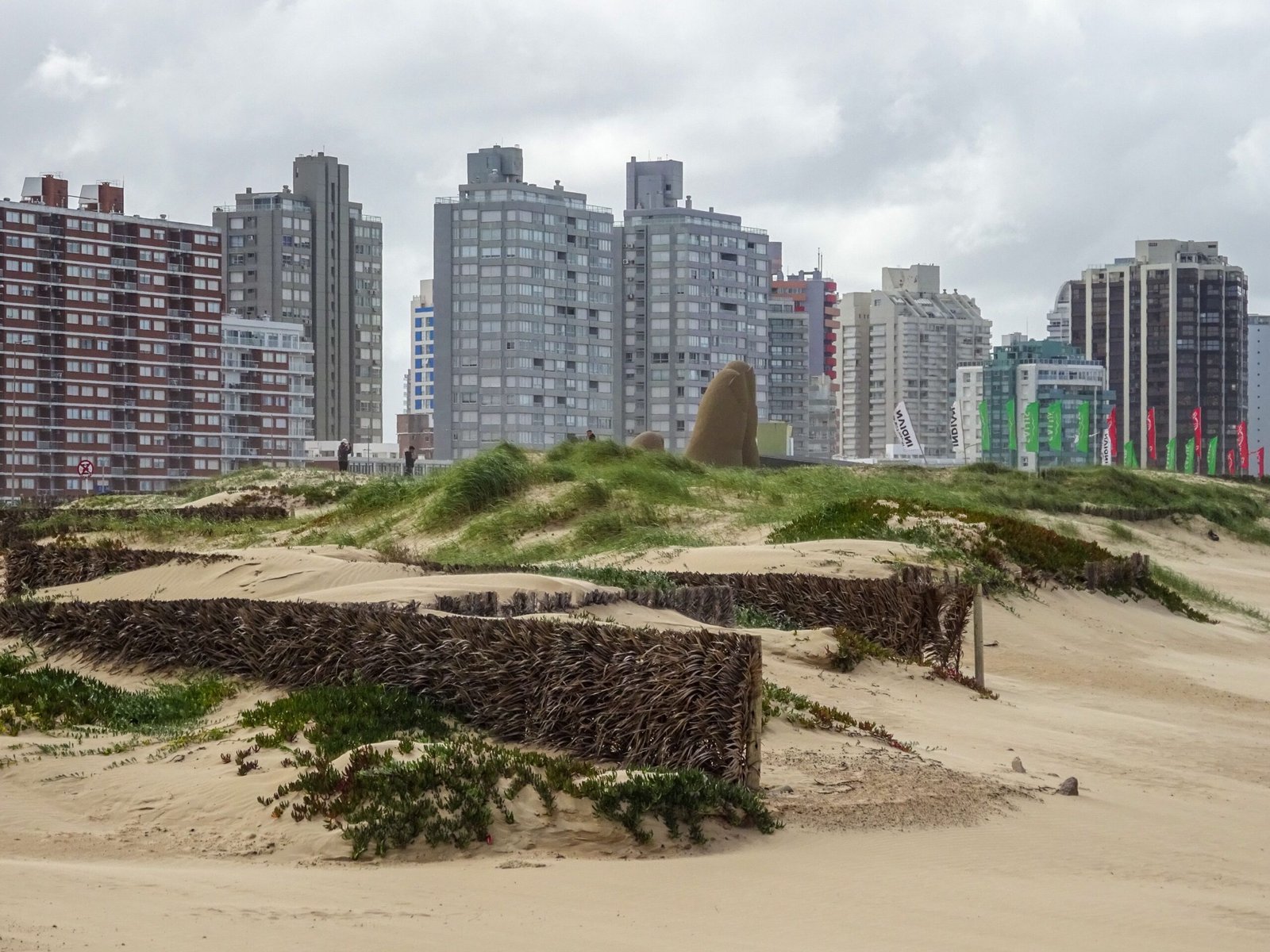 Relax on the sandy shores of Punta del Este's Playa Brava.