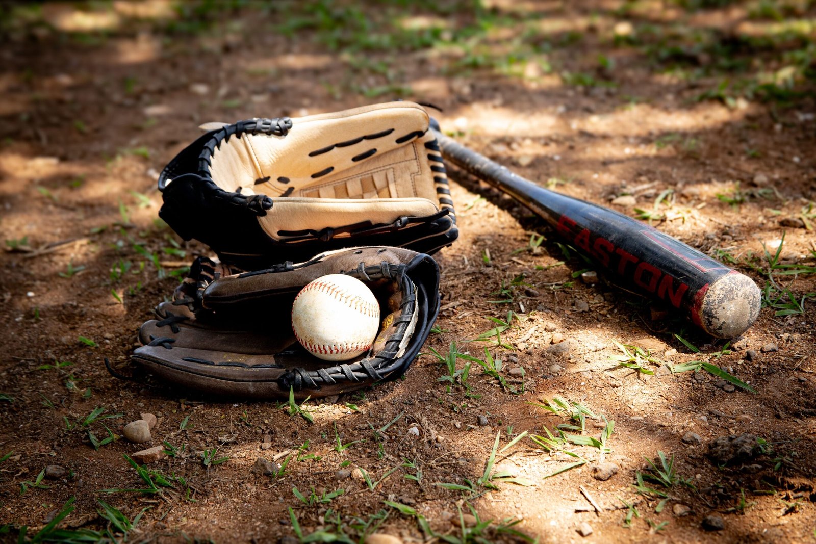 Cheer on the **Appleton American Legion Post 38 baseball team** during the summer