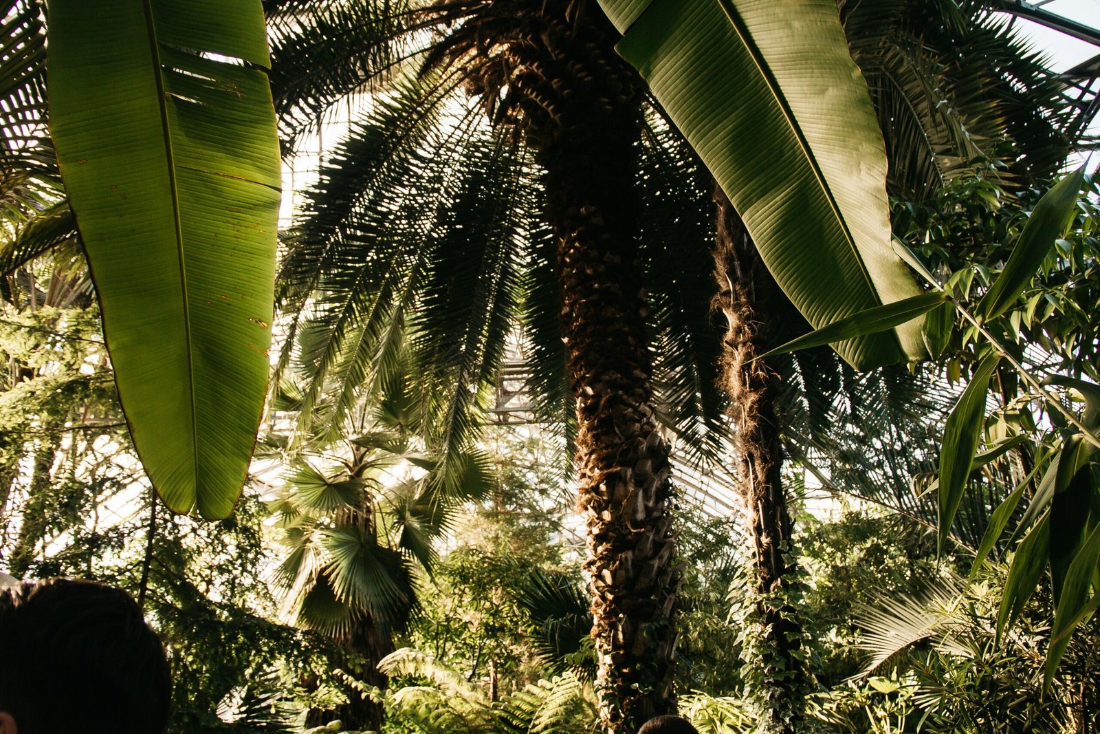 Stroll through the beautiful Greenwich Botanical Center