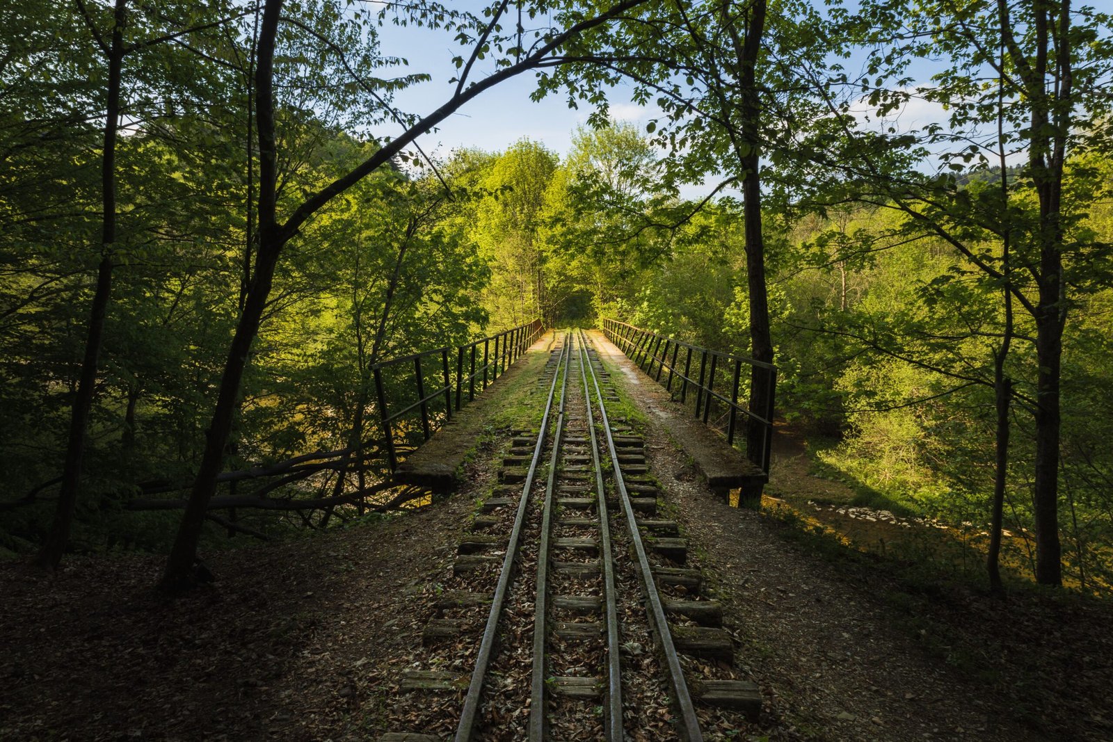Explore the Nashua River Rail Trail for walking, running, and cycling.