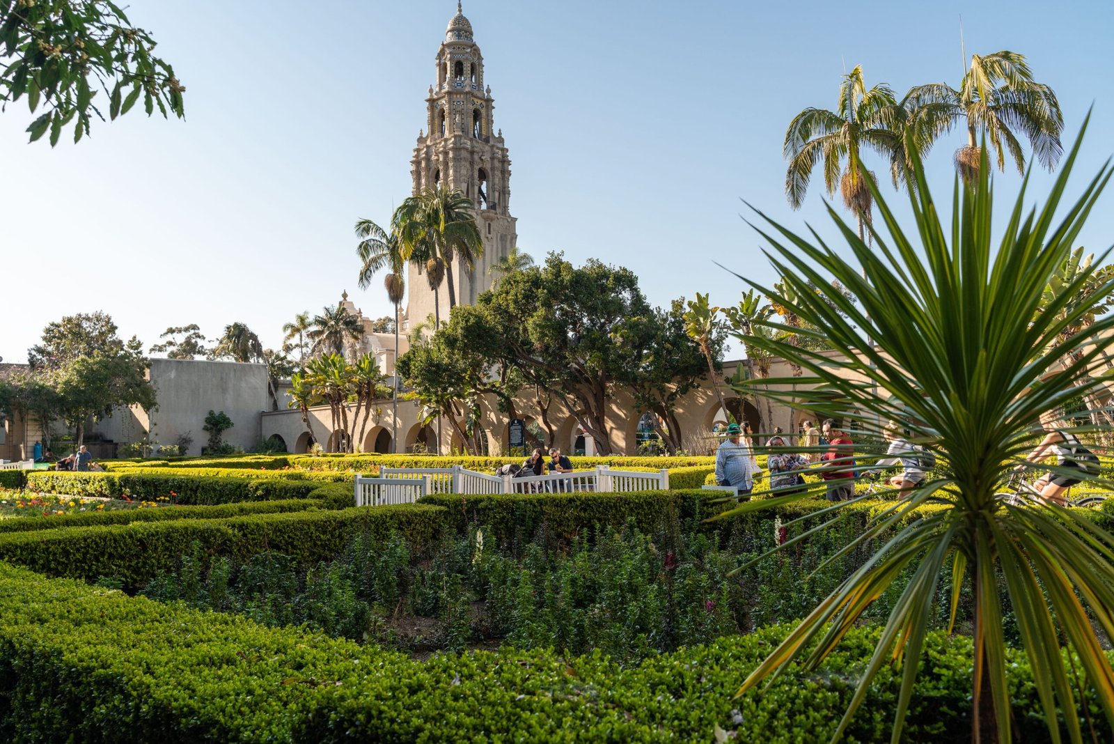 Stroll hand-in-hand through Balboa Park’s beautiful gardens.